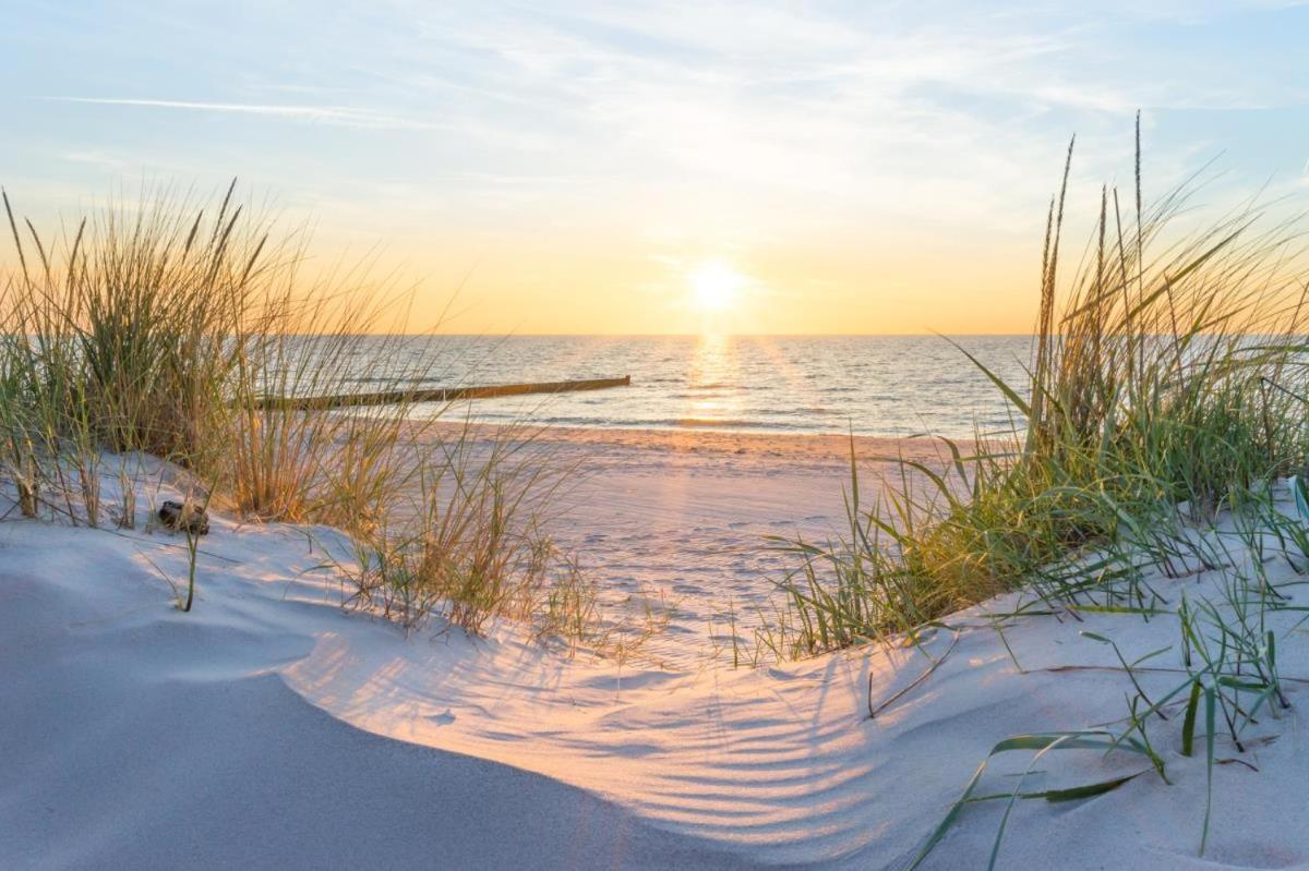 Sonnenaufgang, Direkt Am Alten Strom รอสต็อค ภายนอก รูปภาพ